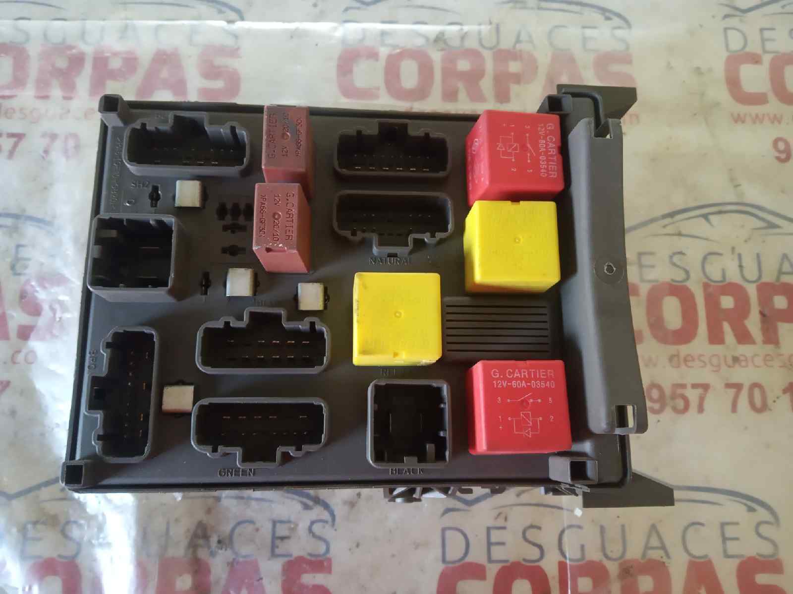 rfwQtkeGpEtCVRB6Fs0uyaODQZNVbxjIuLQ73kwd9HB1o2fRUG86zg.jpg